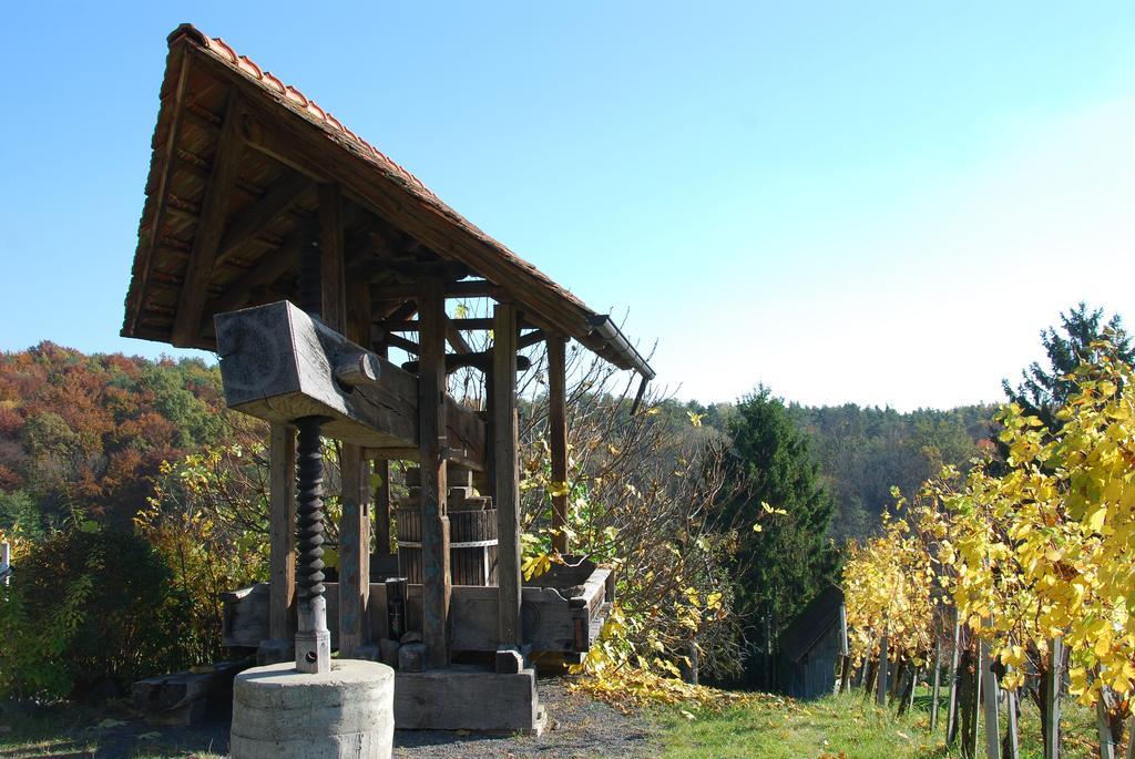 Appartement Winzerhof Familie Kloeckl à Klöch Extérieur photo