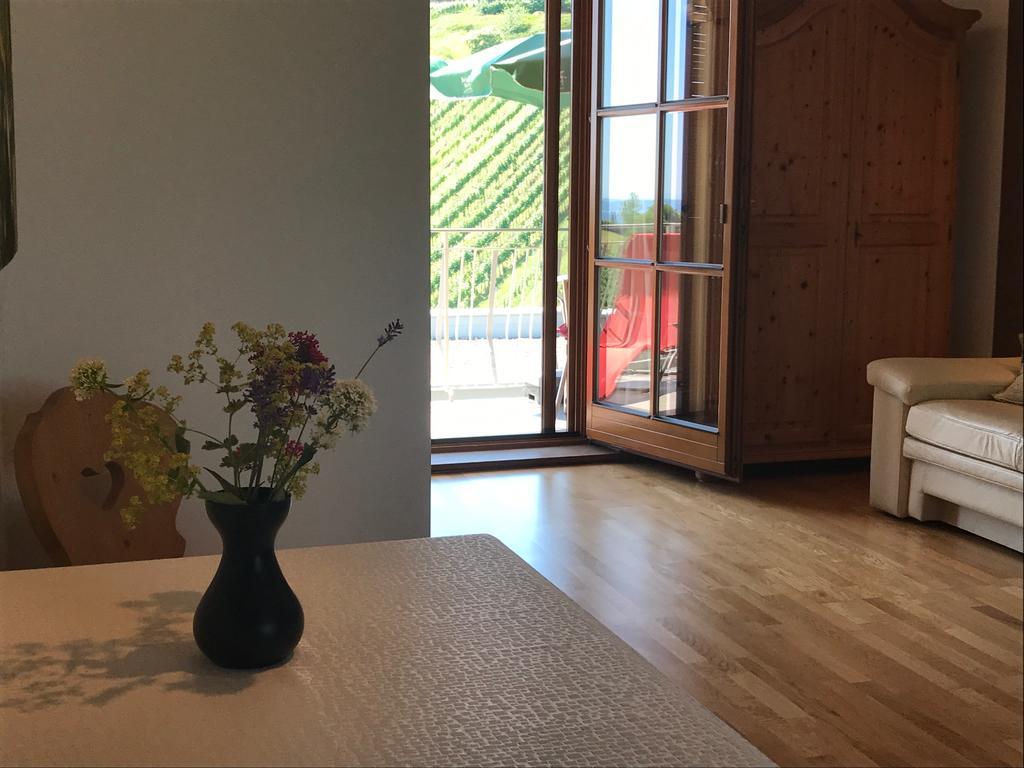 Appartement Winzerhof Familie Kloeckl à Klöch Extérieur photo